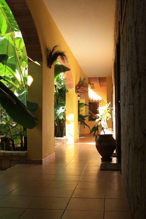 Guest House Orquidea Sal Rei Exterior photo