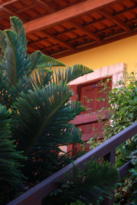 Guest House Orquidea Sal Rei Exterior photo