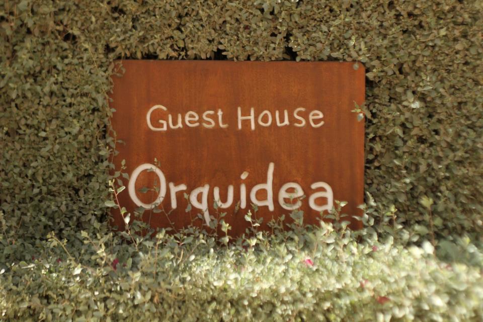 Guest House Orquidea Sal Rei Exterior photo